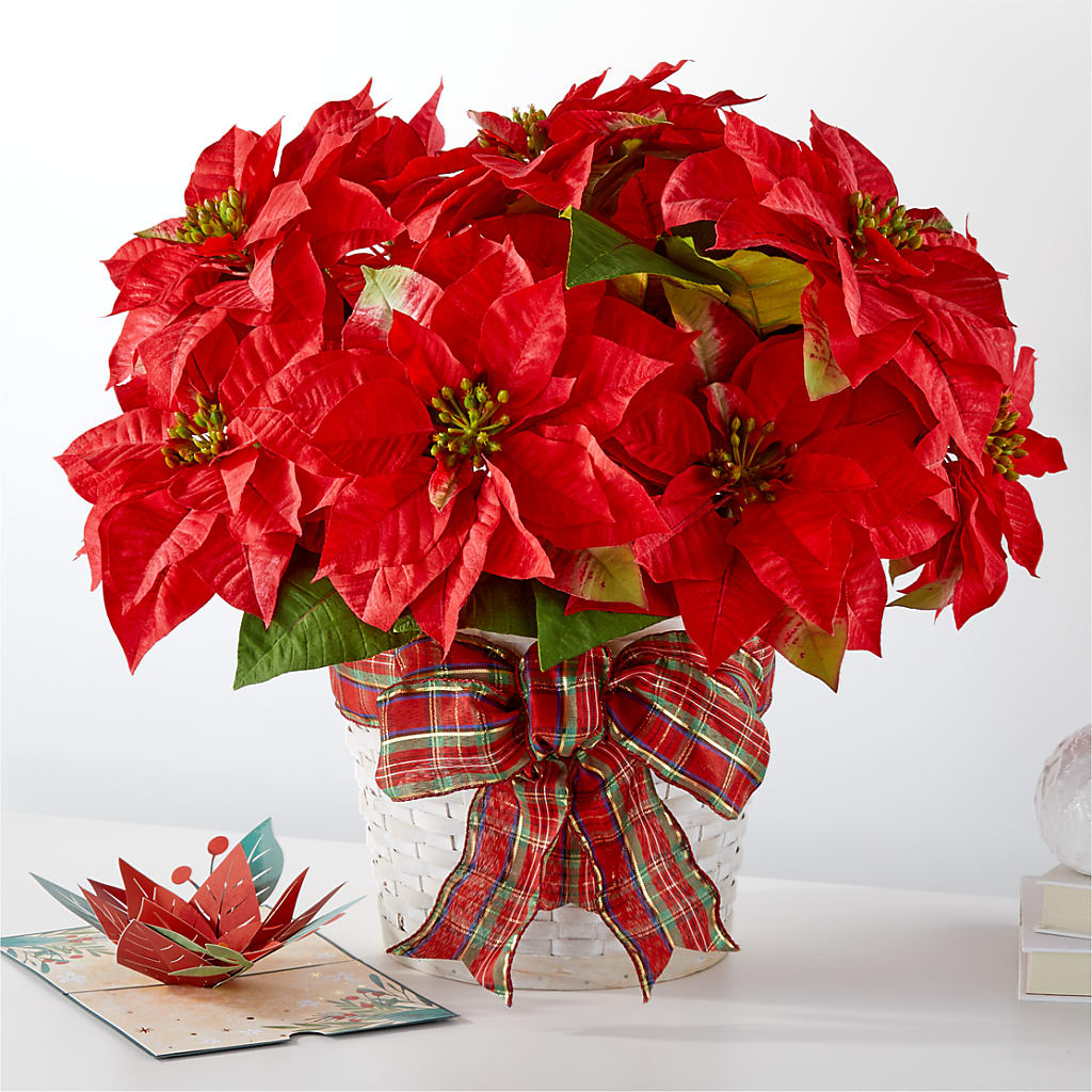 Happiest Holidays Poinsettia and Lovepop Card – The Bloom Centre, Houston TX