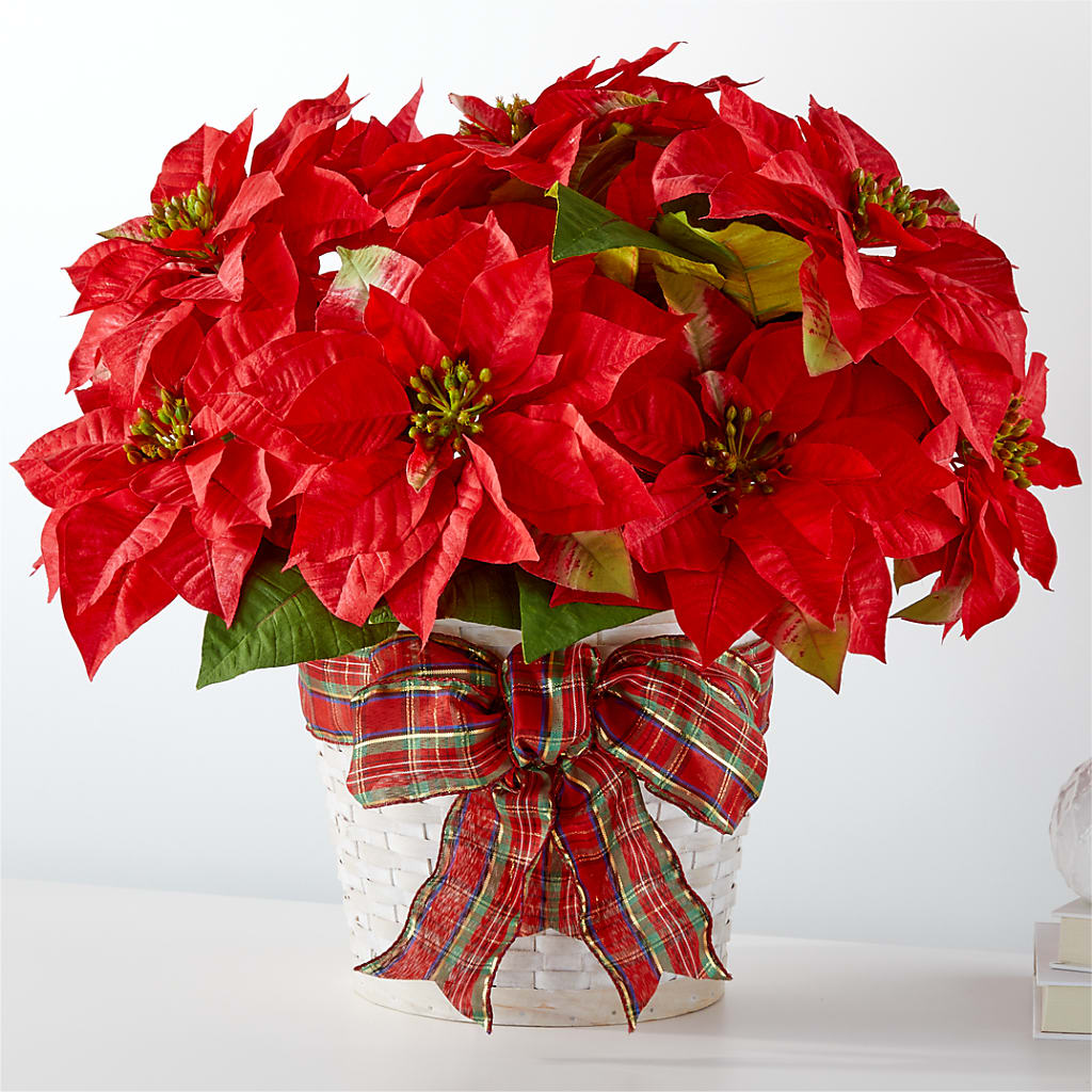 Happiest Holidays Poinsettia – The Bloom Centre, Houston TX