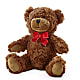 Adorable Plush Bear – The Bloom Centre, Houston TX