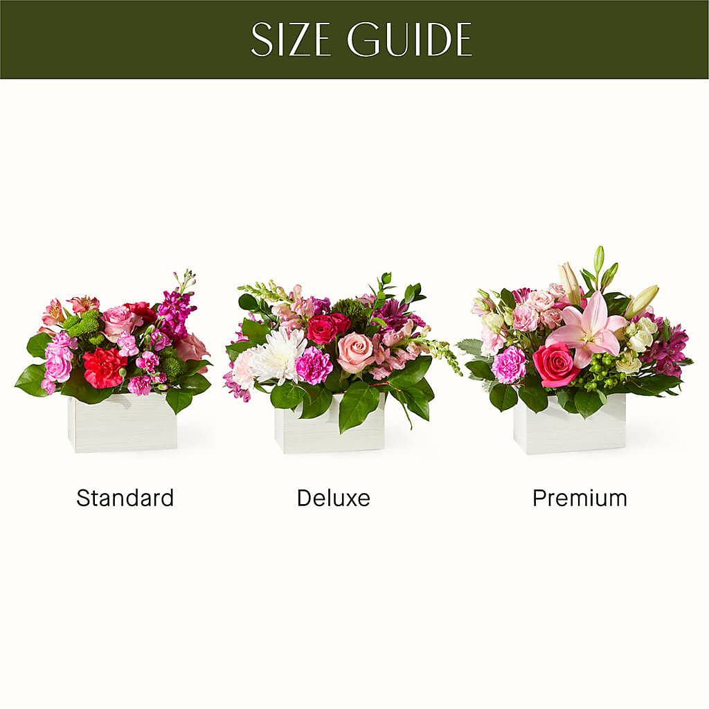 Sweetberry Box – A Florist Original – The Bloom Centre, Houston TX