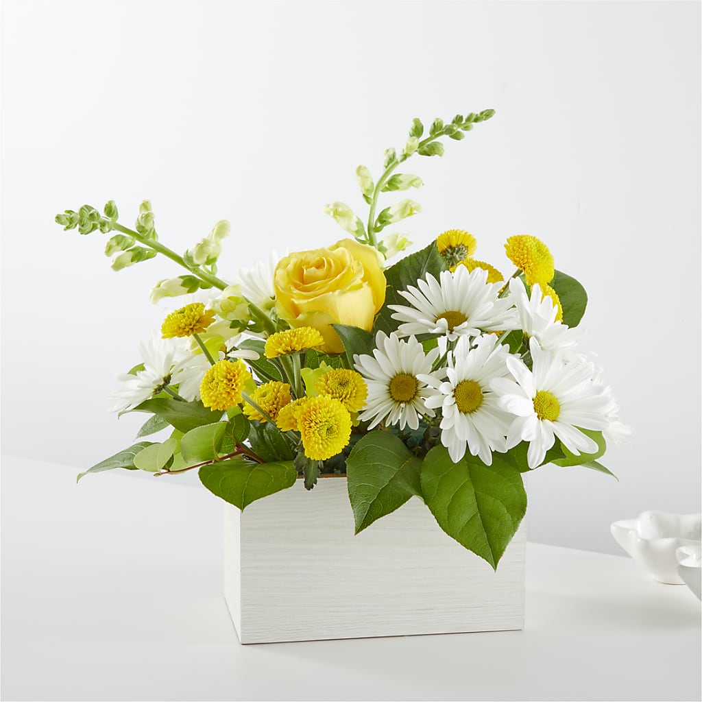 Sun Salutation Box Bouquet – The Bloom Centre, Houston TX