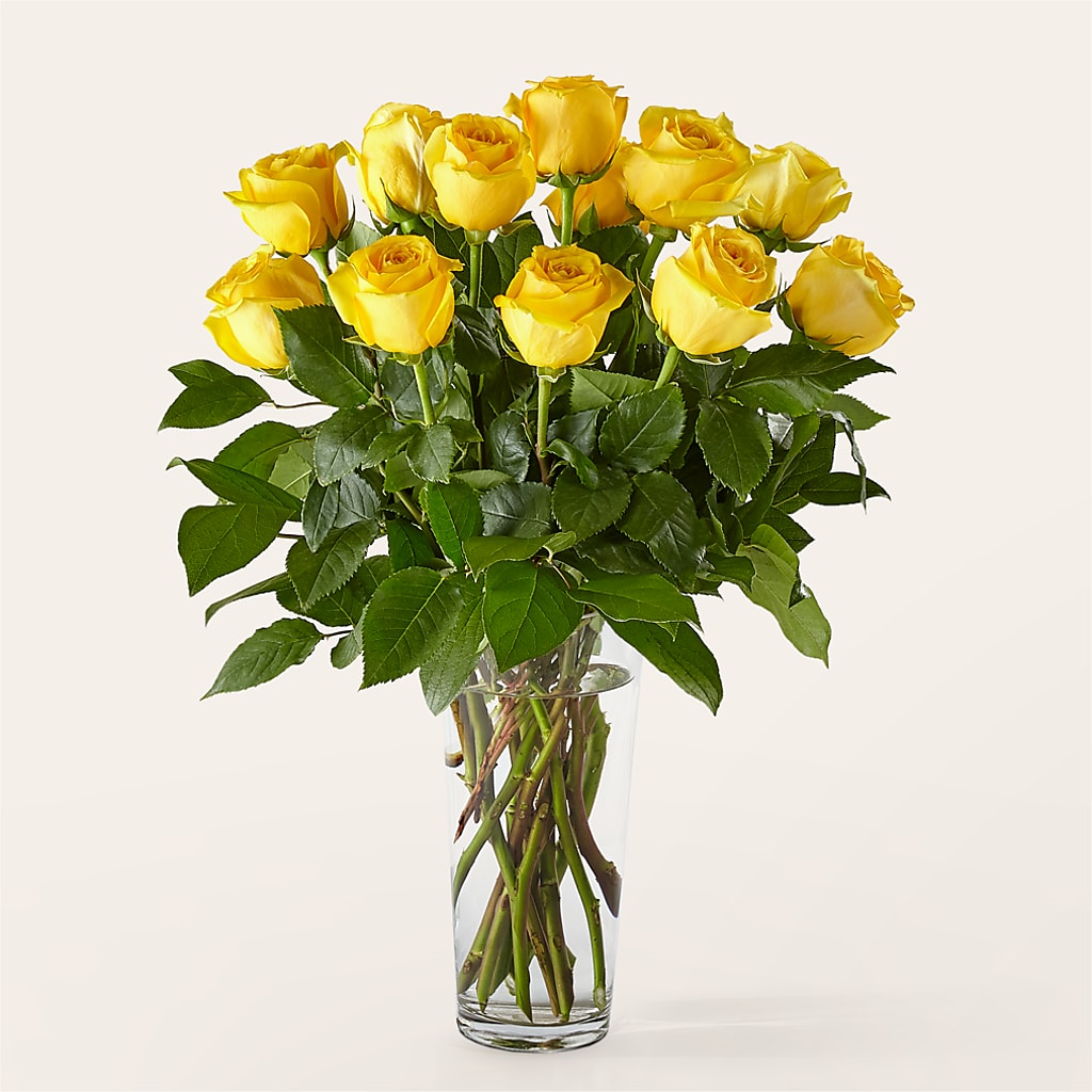 Long Stem Yellow Rose Bouquet – The Bloom Centre, Houston TX