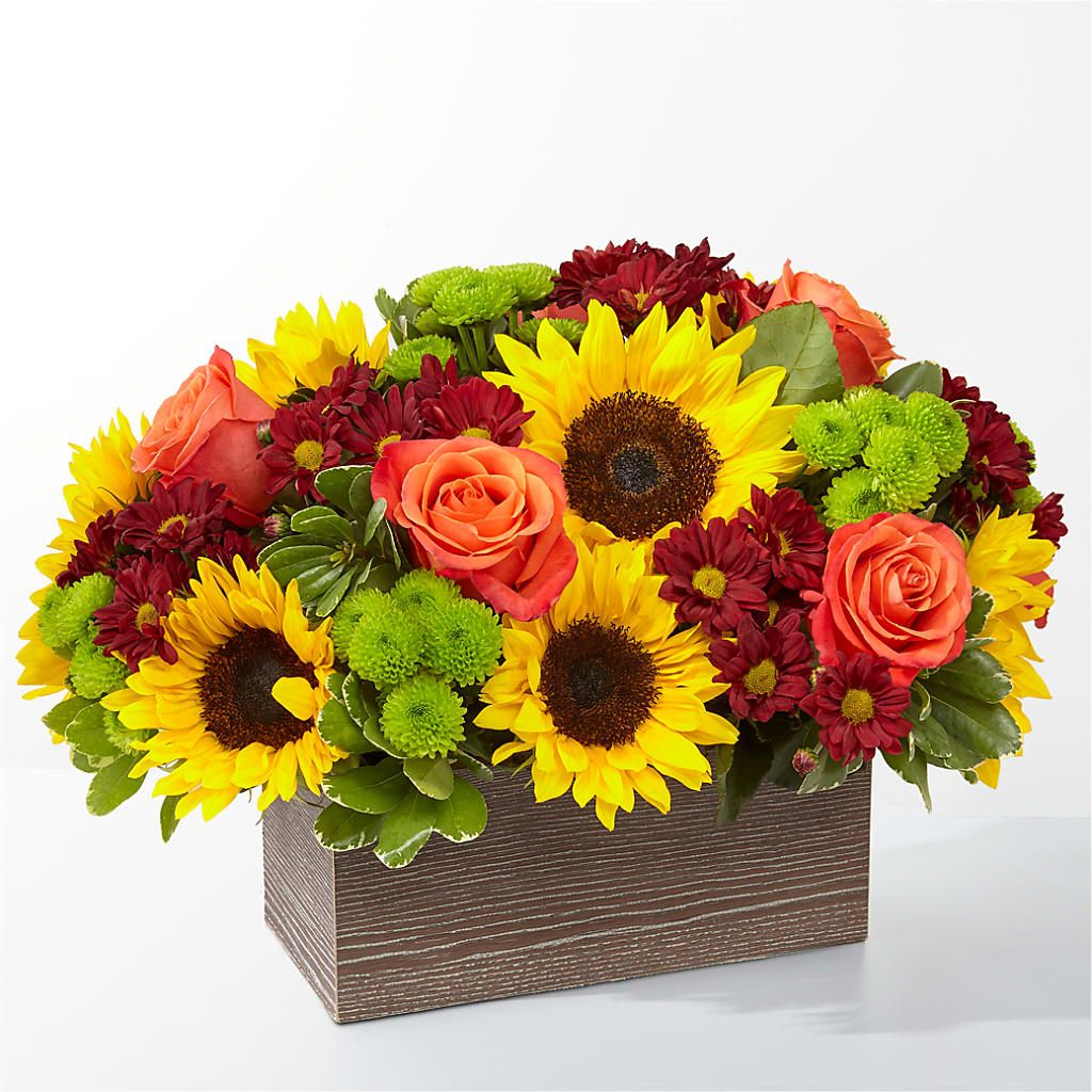 Happy Harvest Garden – The Bloom Centre, Houston TX