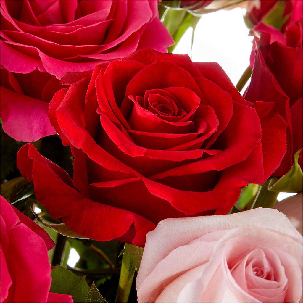 Love Notes Rose Bouquet – The Bloom Centre, Houston TX