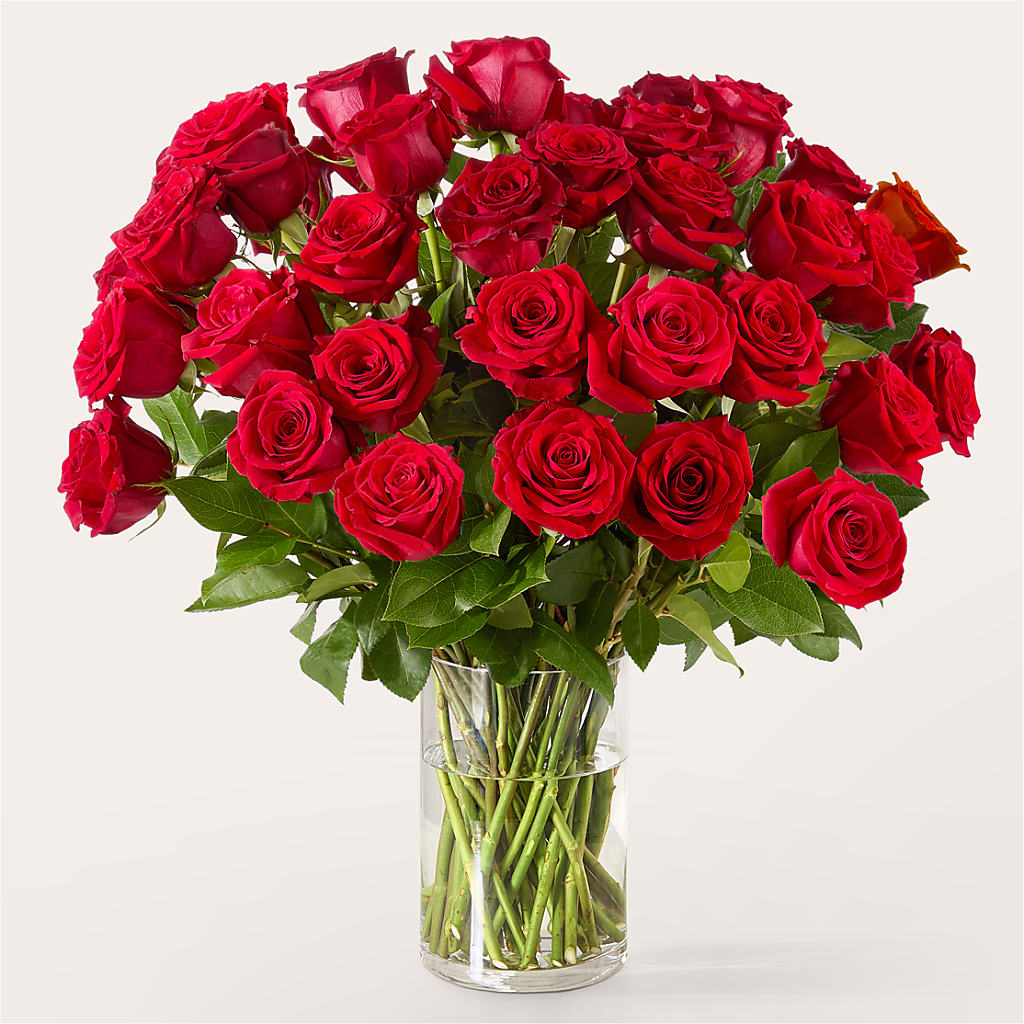 The One Red Rose Bouquet – The Bloom Centre, Houston TX