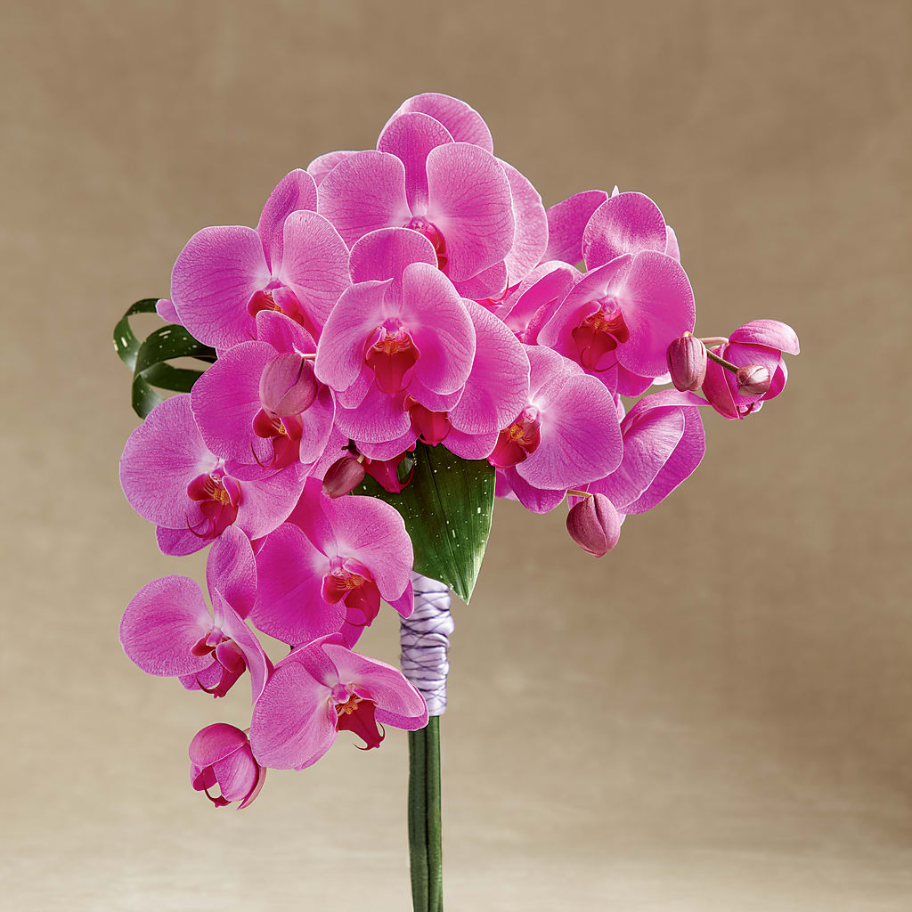 Glorious Bouquet – The Bloom Centre, Houston TX