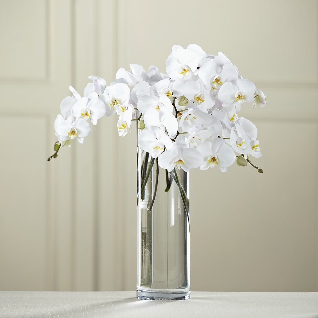 White Phalaenopsis Bouquet – The Bloom Centre, Houston TX