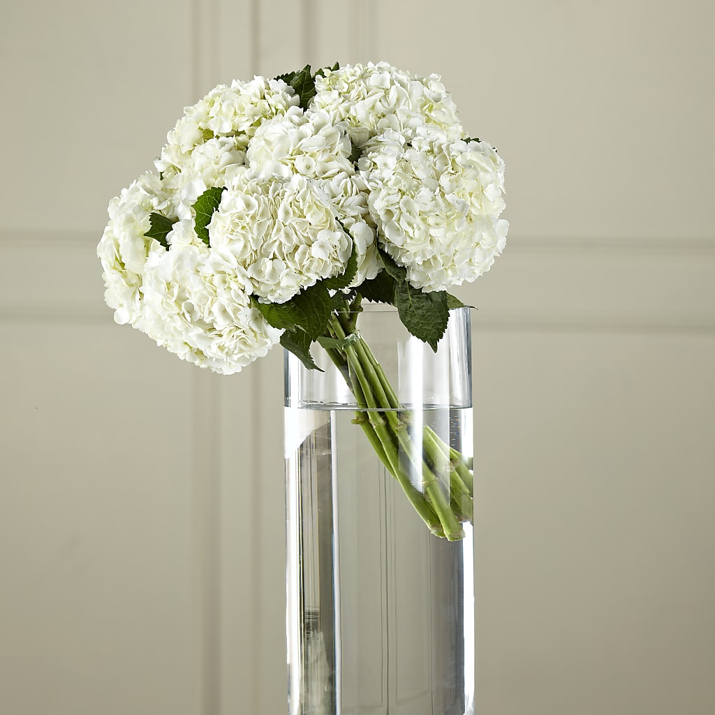 White Hydrangea Hand-Tied Bouquet – The Bloom Centre, Houston TX