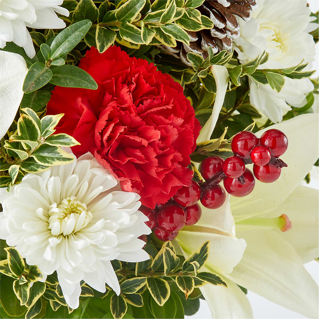 Festive Moments Tree –  The Bloom Centre, Houston TX