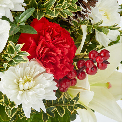 Festive Moments Tree –  The Bloom Centre, Houston TX