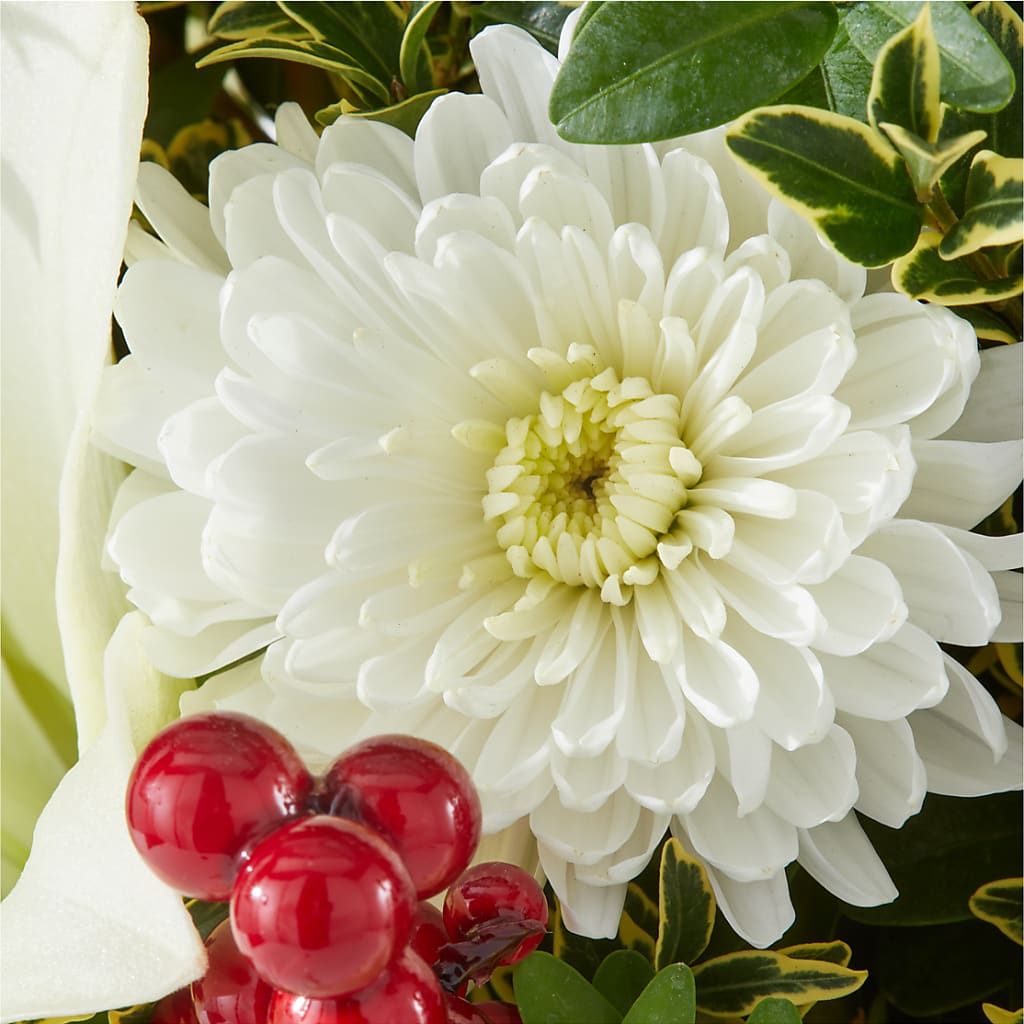 Festive Moments Tree –  The Bloom Centre, Houston TX