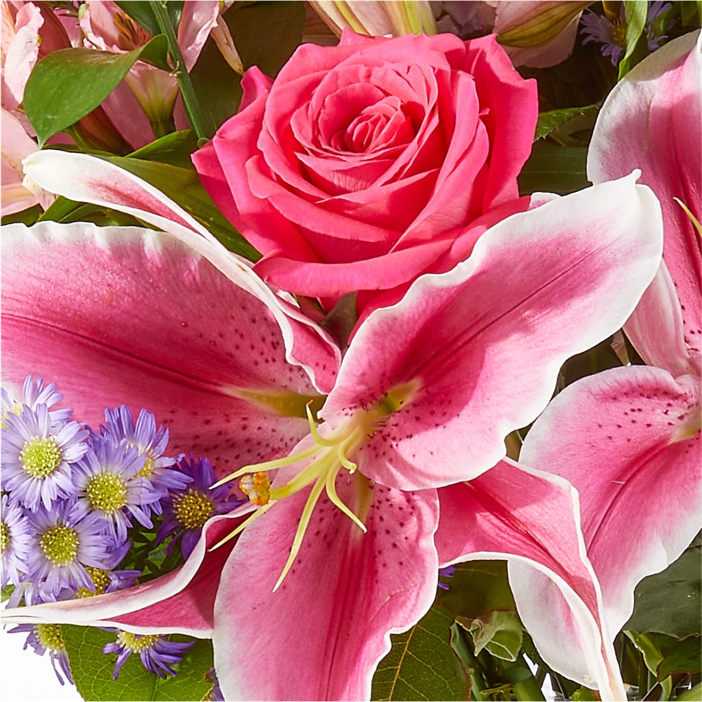 Written in the Stars Bouquet –  The Bloom Centre, Houston TX
