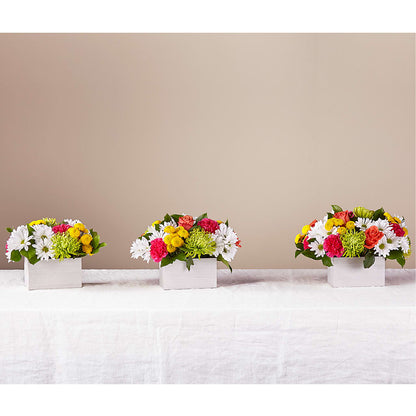 Sorbet Bouquet –  The Bloom Centre, Houston TX