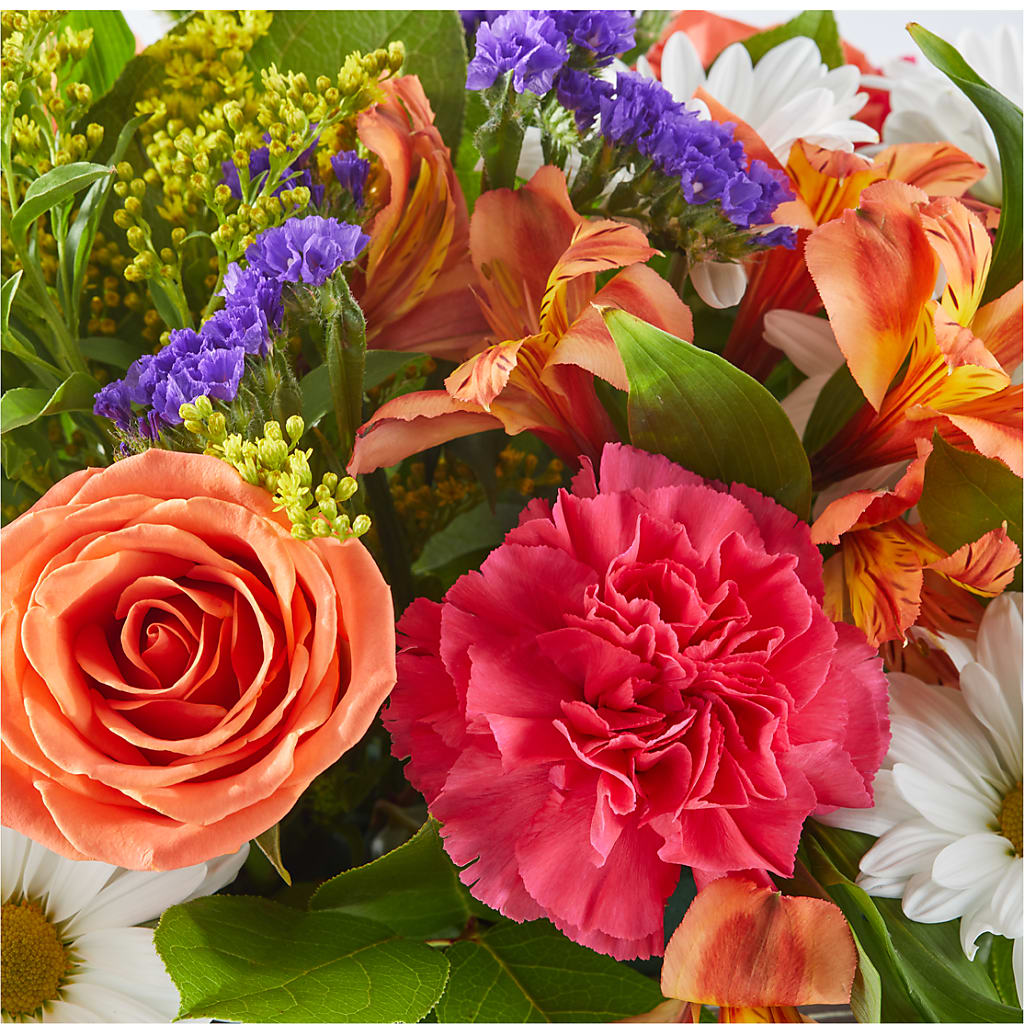 Oopsie Daisy Box Bouquet –  The Bloom Centre, Houston TX