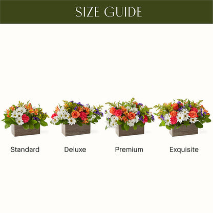 Oopsie Daisy Box Bouquet –  The Bloom Centre, Houston TX