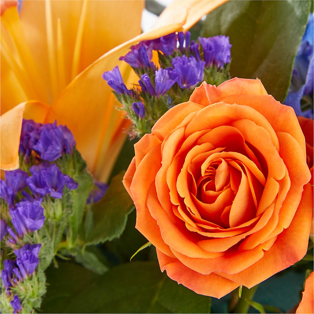 Radiant Citrus Box Bouquet –  The Bloom Centre, Houston TX