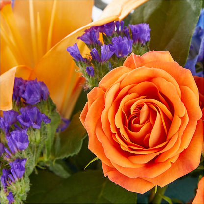 Radiant Citrus Box Bouquet –  The Bloom Centre, Houston TX