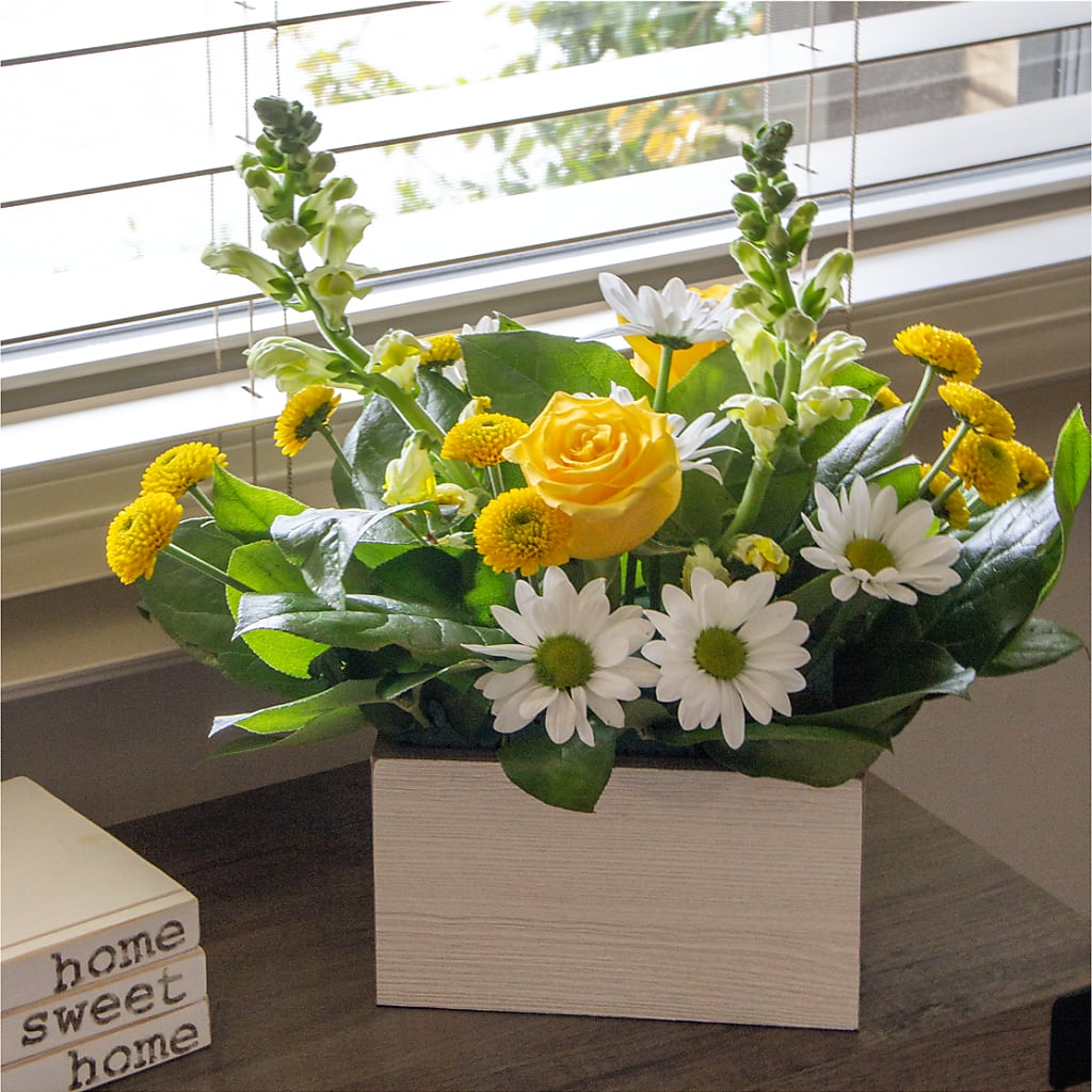 Sun Salutation Box Bouquet –  The Bloom Centre, Houston TX