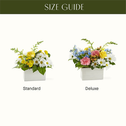 Sun Salutation Box Bouquet –  The Bloom Centre, Houston TX