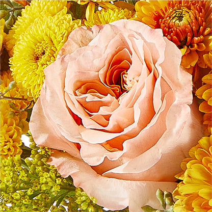 Peachy Pumpkin –  The Bloom Centre, Houston TX