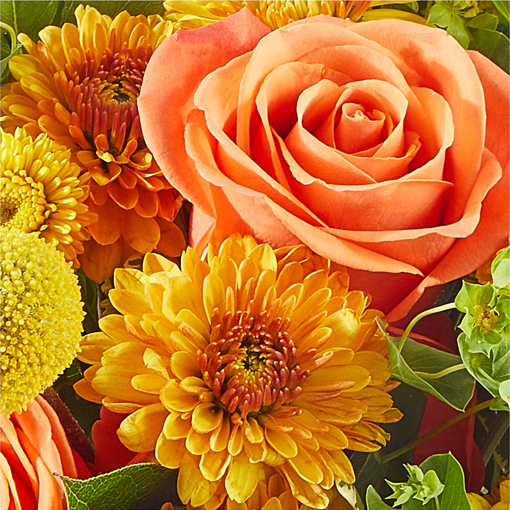 Gourdgeous Pumpkin –  The Bloom Centre, Houston TX