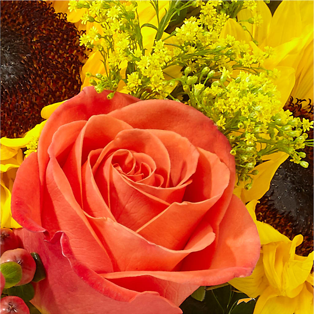 Pick of the Patch Pumpkin Bouquet –  The Bloom Centre, Houston TX