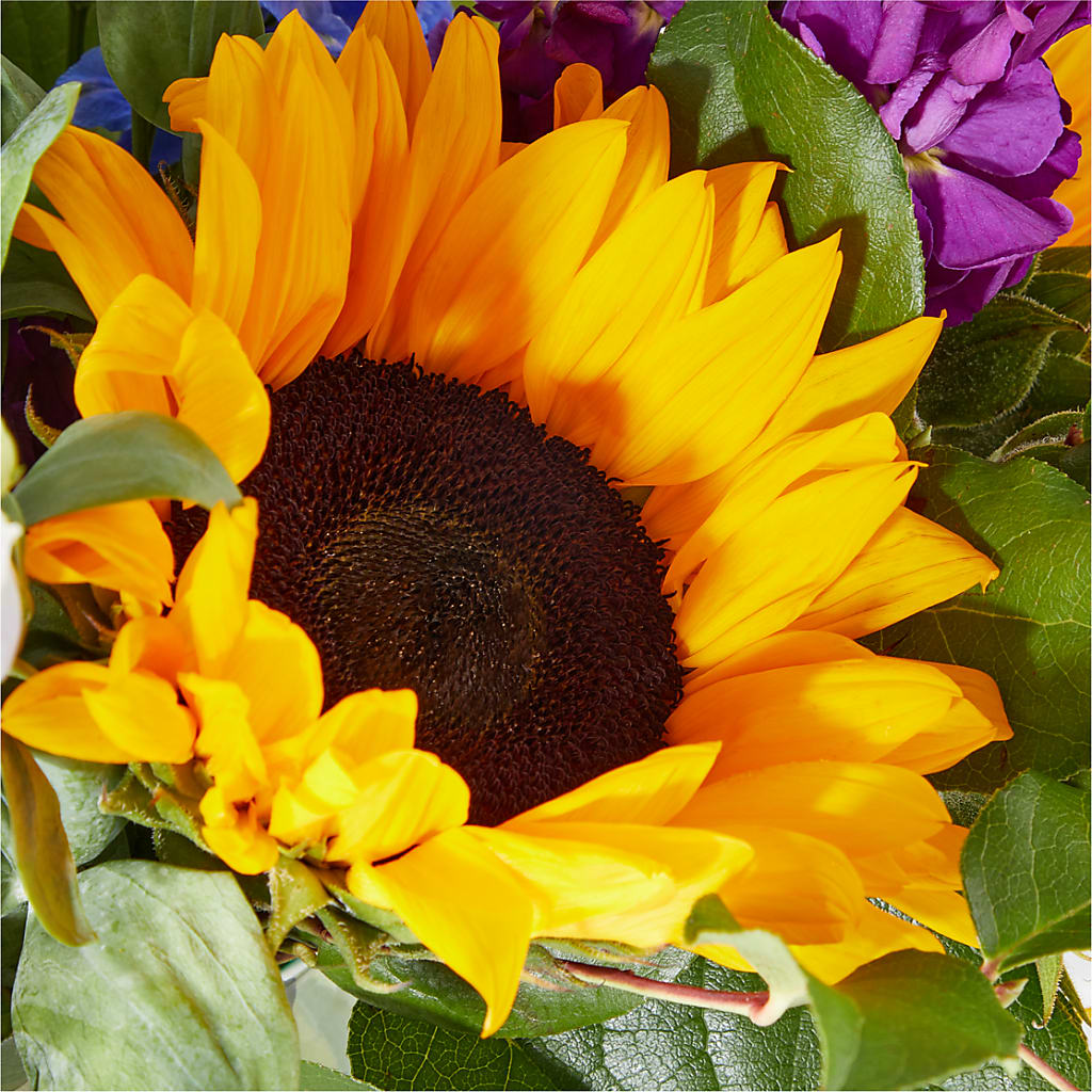 Catching Rays Bouquet –  The Bloom Centre, Houston TX