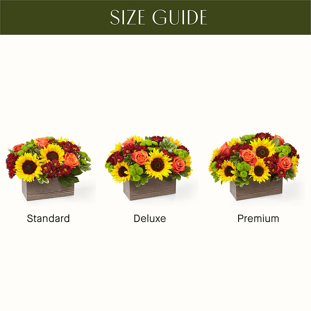 Happy Harvest Garden –  The Bloom Centre, Houston TX