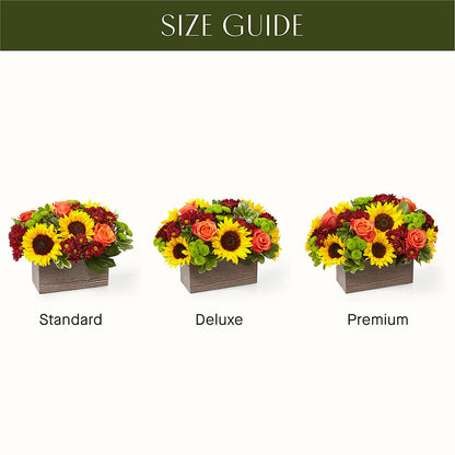 Happy Harvest Garden –  The Bloom Centre, Houston TX