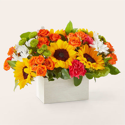 Sun-drenched Blooms Box Bouquet –  The Bloom Centre, Houston TX
