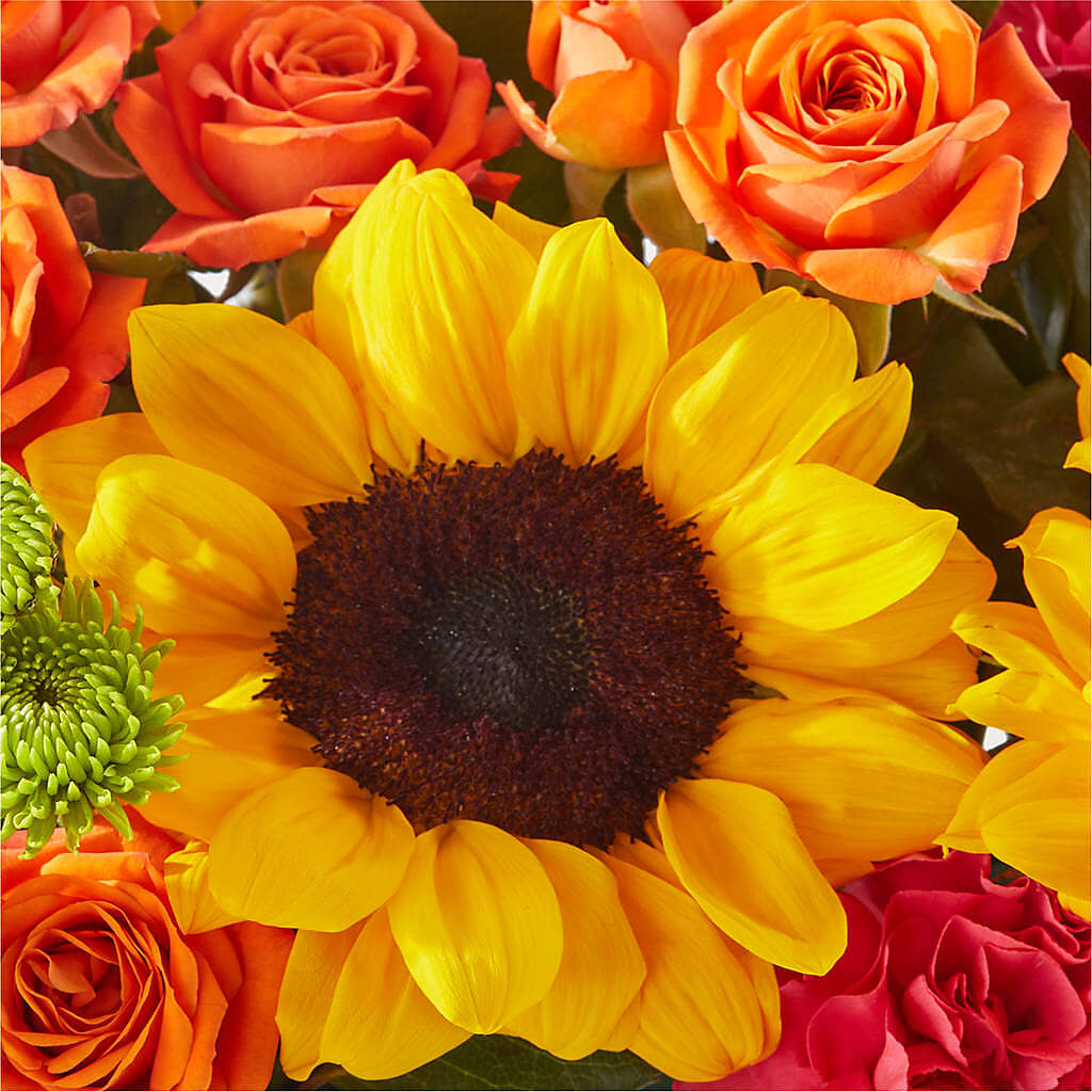 Sun-drenched Blooms Box Bouquet –  The Bloom Centre, Houston TX
