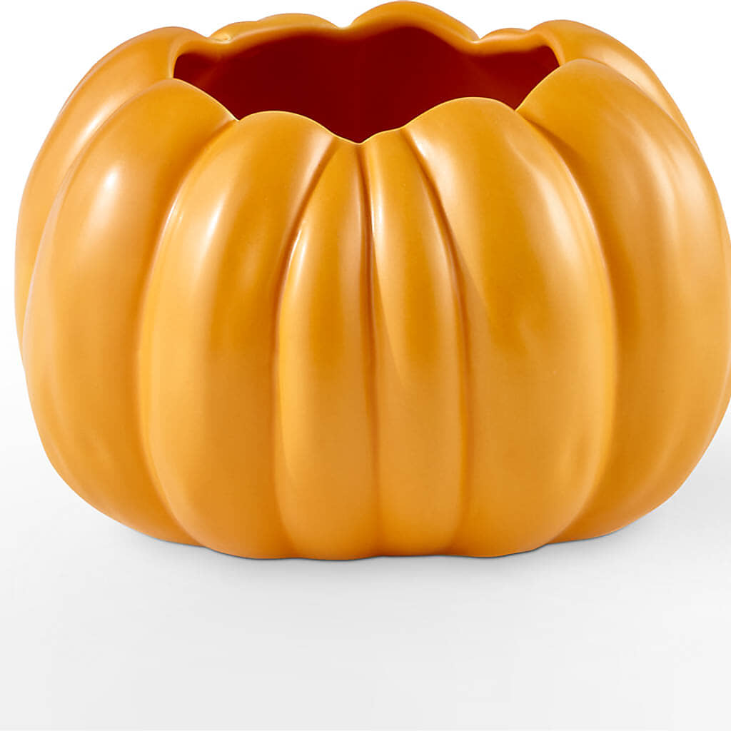 Golden Gourd Pumpkin Bouquet –  The Bloom Centre, Houston TX