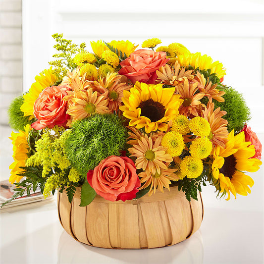 Harvest Sunflower Basket –  The Bloom Centre, Houston TX