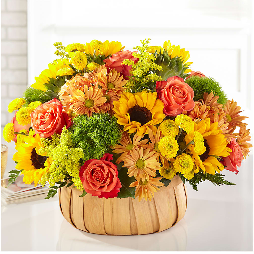Harvest Sunflower Basket –  The Bloom Centre, Houston TX