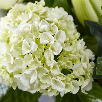 Classic Ivory – A Florist Original –  The Bloom Centre, Houston TX