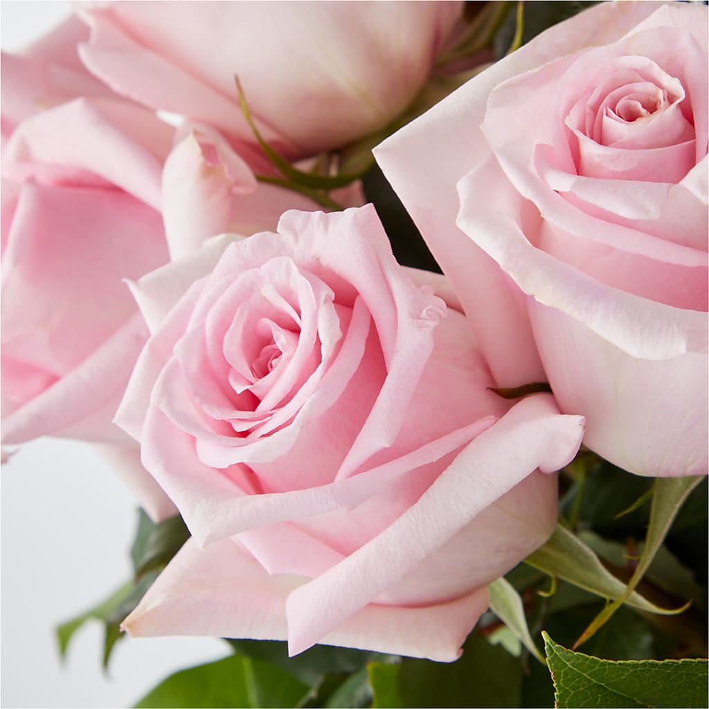 Picture Perfect Pink Rose Bouquet –  The Bloom Centre, Houston TX
