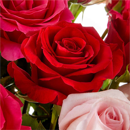 Love Notes Rose Bouquet –  The Bloom Centre, Houston TX