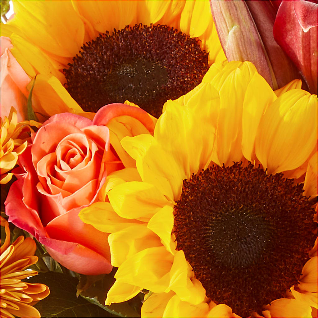 Acorn Lane Bouquet –  The Bloom Centre, Houston TX