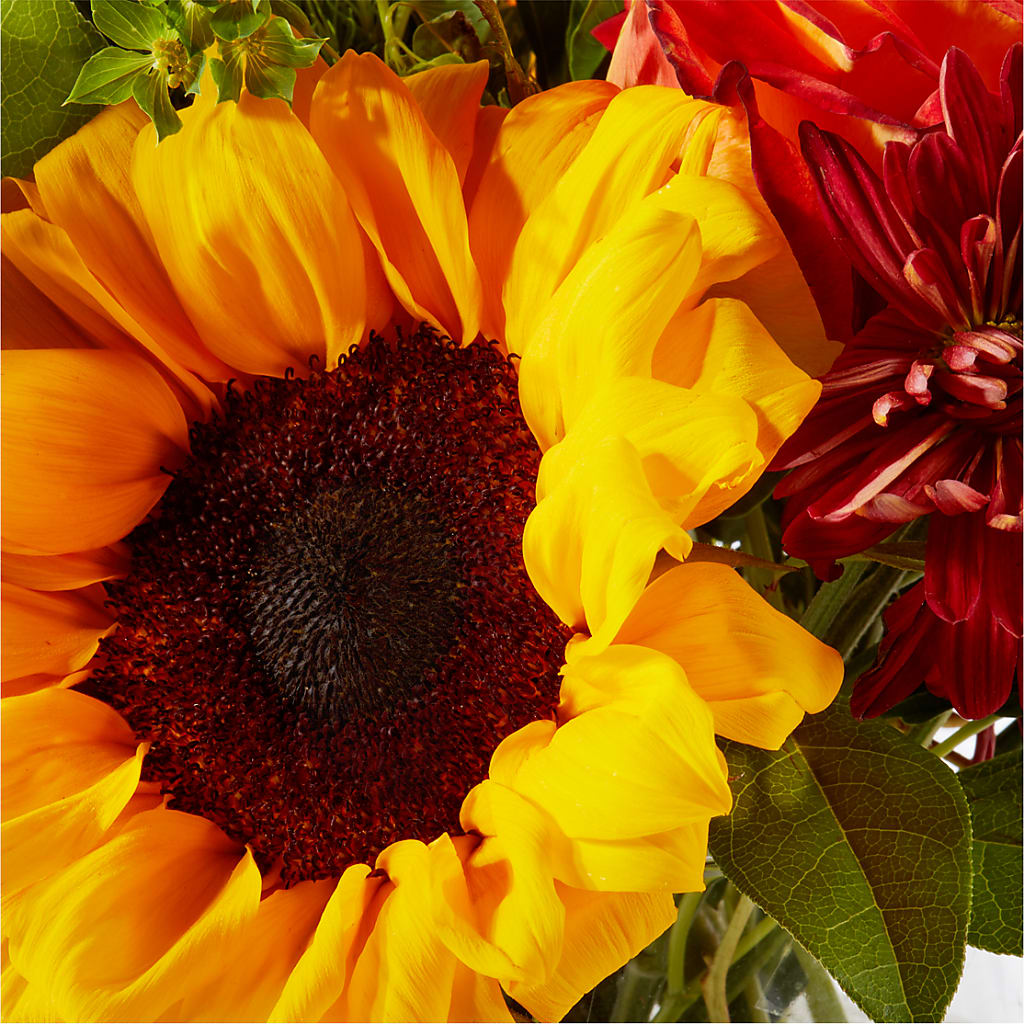 Harvest Festival Bouquet –  The Bloom Centre, Houston TX