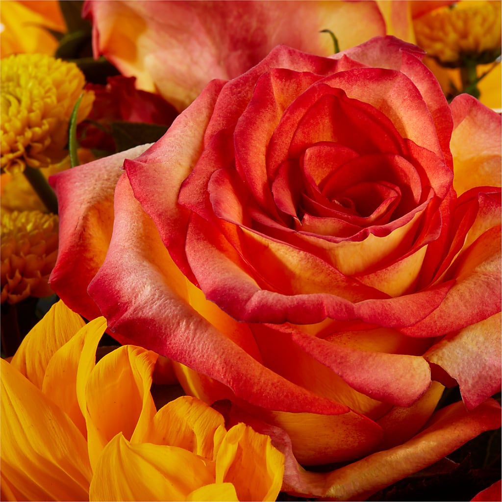 Picnic in the Park Bouquet –  The Bloom Centre, Houston TX