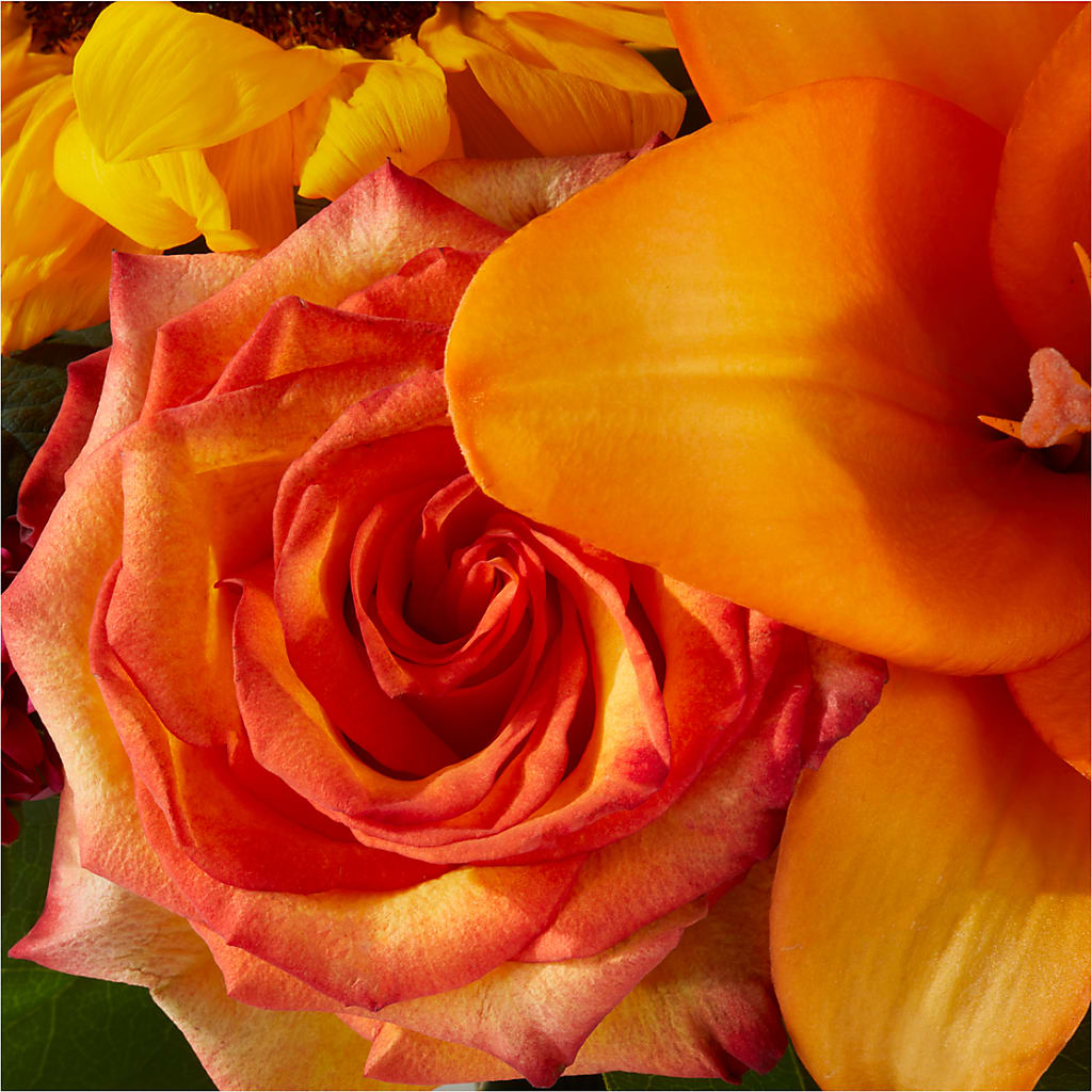 Grateful Centerpiece –  The Bloom Centre, Houston TX