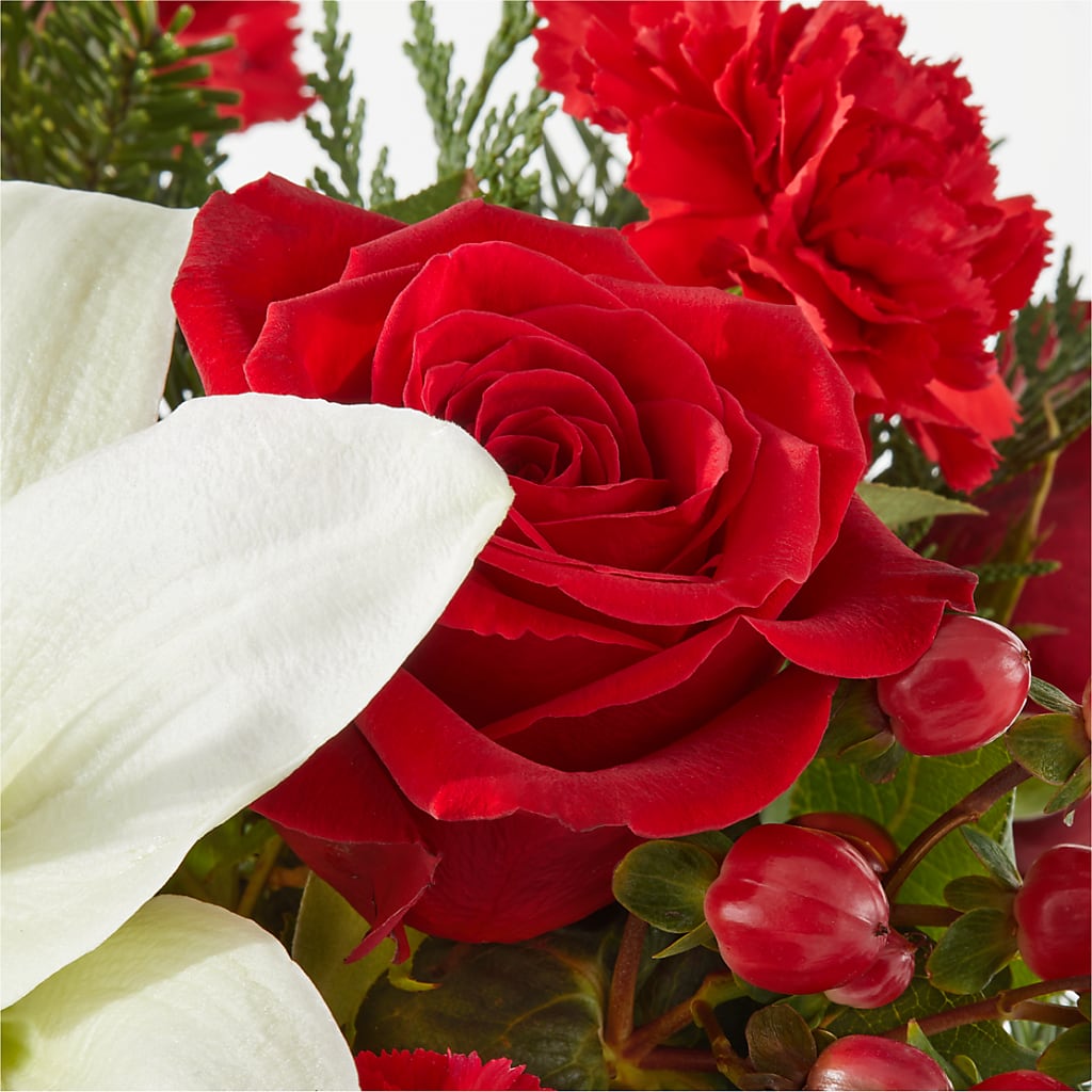 Oh So Jolly Bouquet –  The Bloom Centre, Houston TX