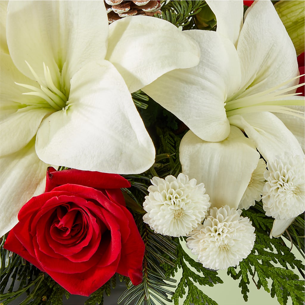 Seasonal Festivities Centerpiece –  The Bloom Centre, Houston TX