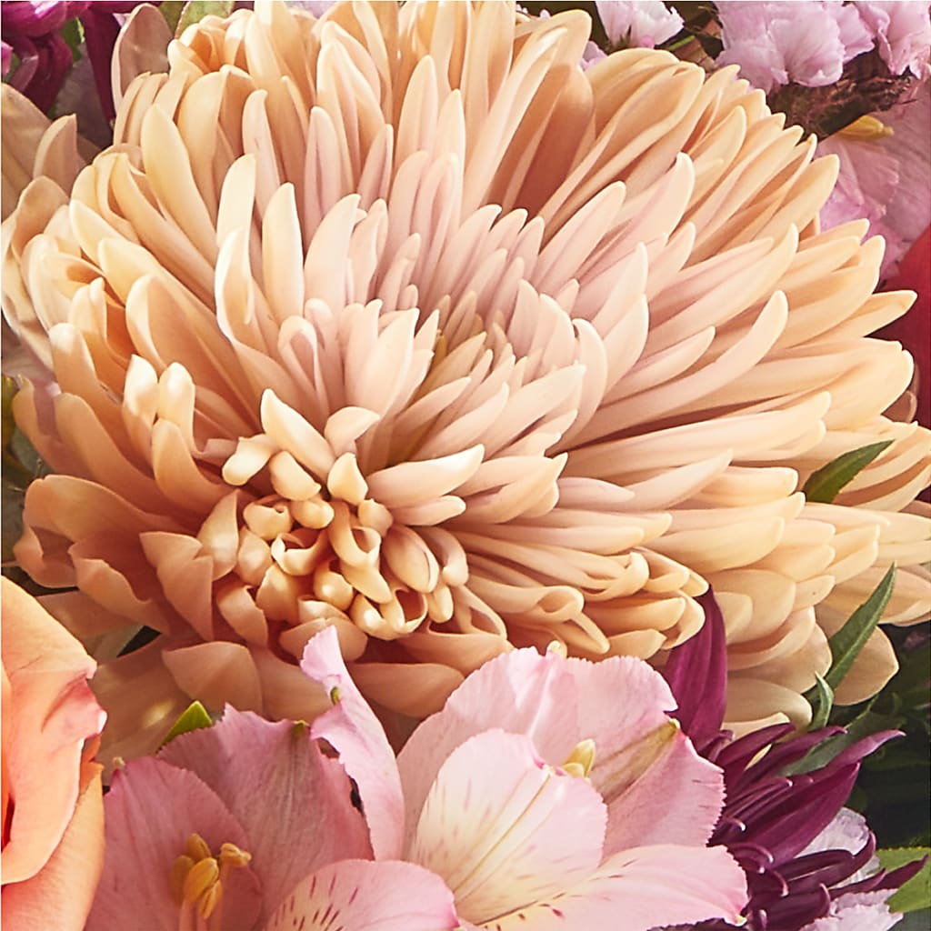 Berry Cobbler Bouquet –  The Bloom Centre, Houston TX