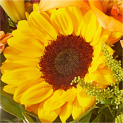 Seasons Change Bouquet –  The Bloom Centre, Houston TX