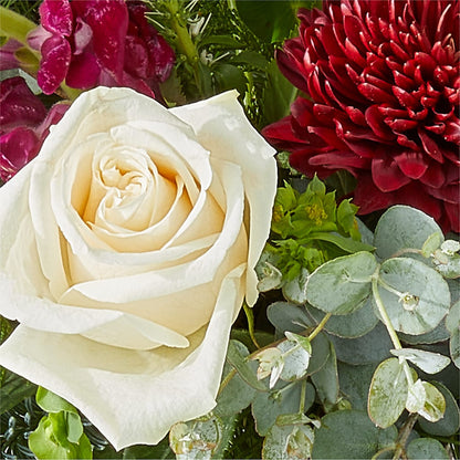 Cranberry Fizz Bouquet –  The Bloom Centre, Houston TX