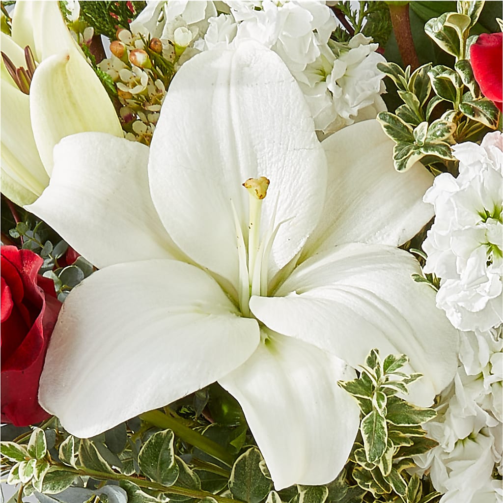 Twinkle Lights Bouquet –  The Bloom Centre, Houston TX