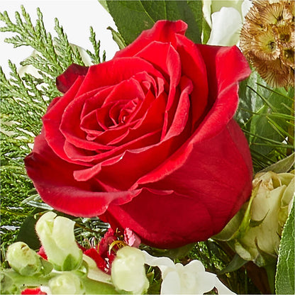 Deck the Halls Bouquet –  The Bloom Centre, Houston TX
