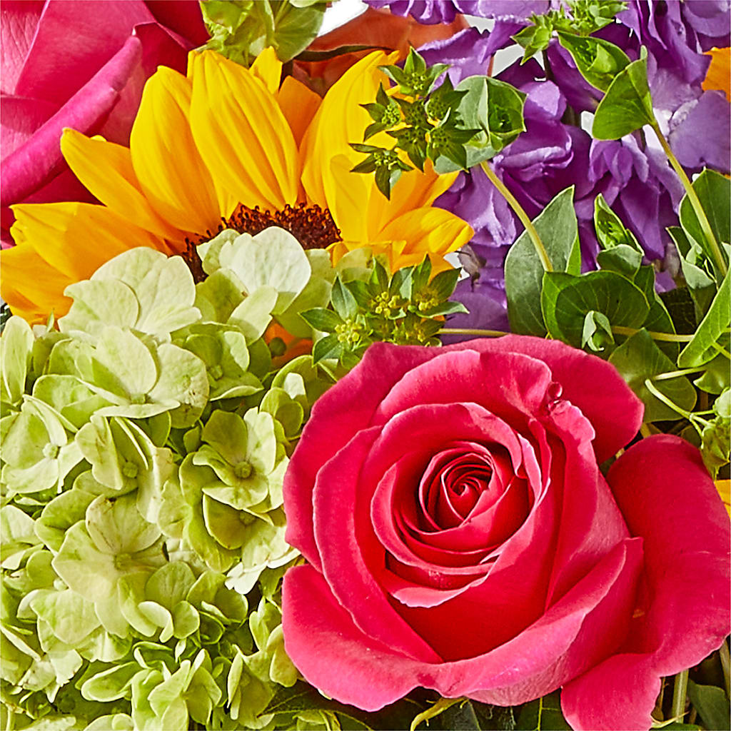 Vibrant Greetings Bouquet –  The Bloom Centre, Houston TX