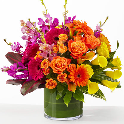 The Mosaic –  The Bloom Centre, Houston TX